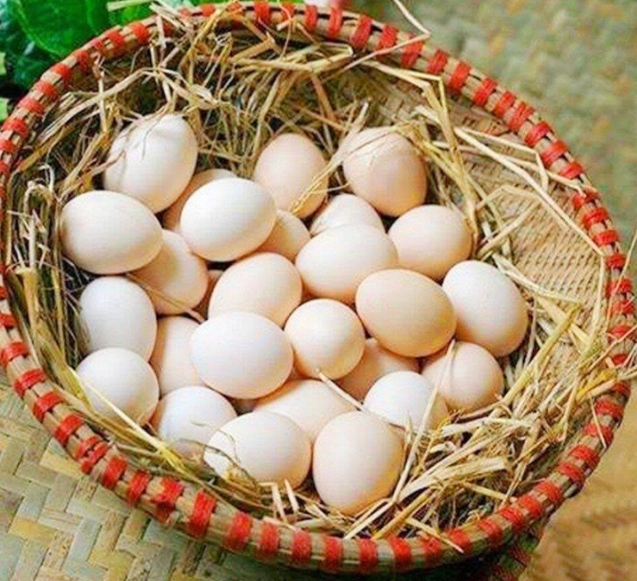 Nấm kim châm và trứng gà làm theo cách sau, sẽ có món ăn ngon miệng, giàu protein, vitamin và khoáng chất