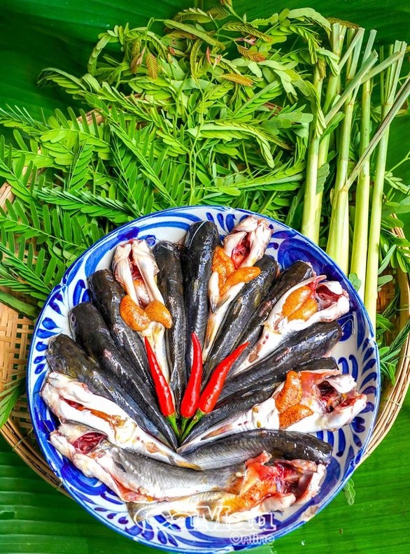 Cá chốt nấu lá me non, chua thanh và ngon thấm đẫm nơi đầu lưỡi
