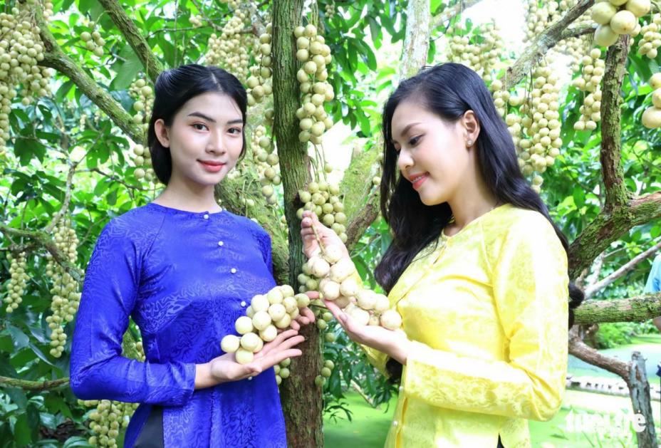 Về Cần Thơ, khó nhịn thèm món 'gà um dâu Hạ Châu' ngọt lịm