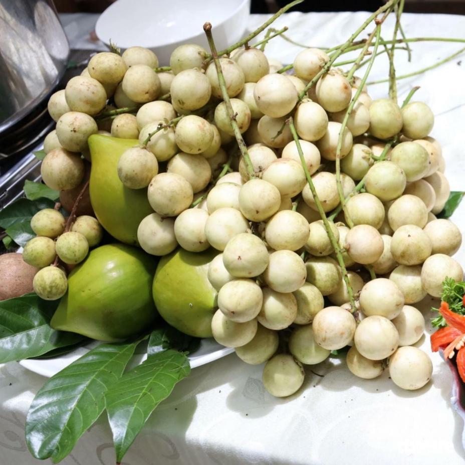 Về Cần Thơ, khó nhịn thèm món 'gà um dâu Hạ Châu' ngọt lịm