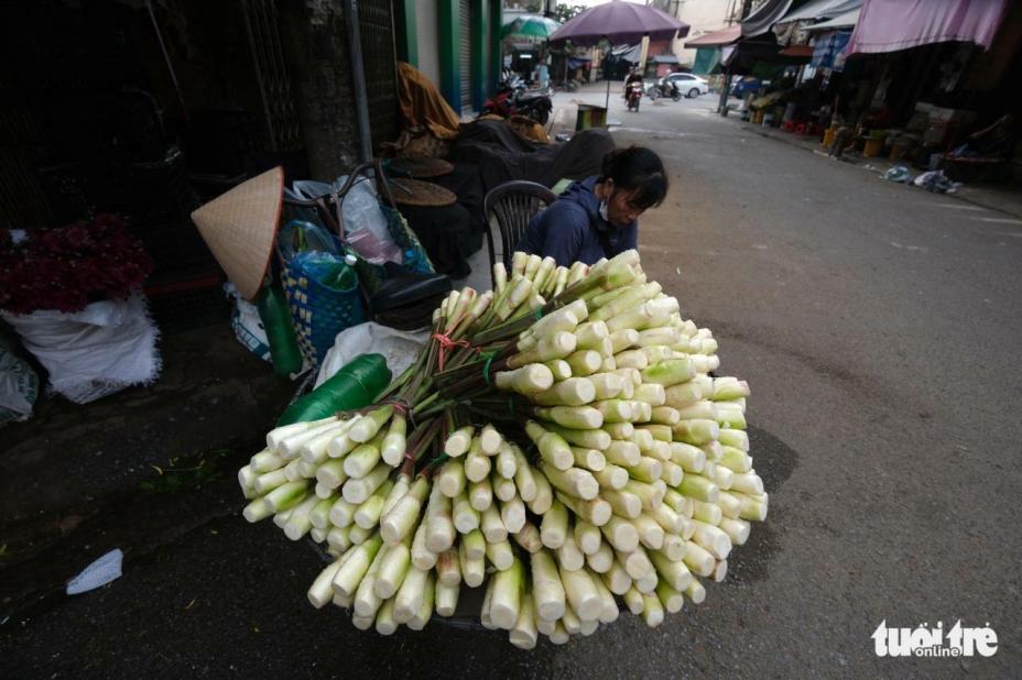 Cuối thu, đầu đông nhớ củ niễng Nam Định