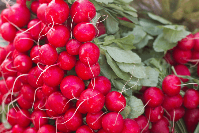 vua chong lao hoa anthocyanin co trong 3 mon nay cang an cang tre lau 6 "Vua chống lão hóa” anthocyanin có trong 3 món này, càng ăn càng trẻ lâu