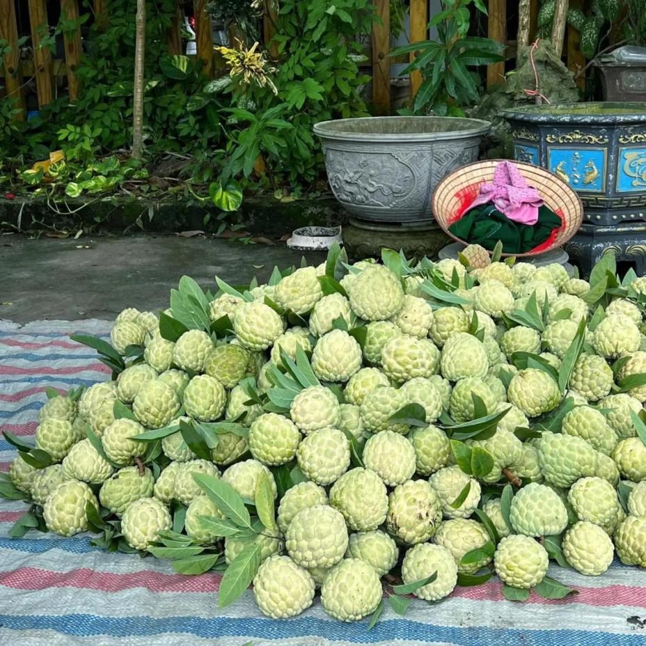 Về Võ Nhai, thưởng lãm món quà quý mà trời đất ban cho vùng đất này