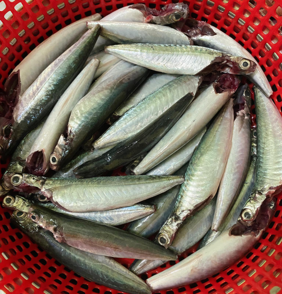 Nhớ thương canh cá nục lá me non