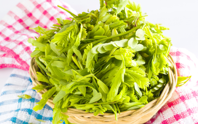 Nhớ thương canh cá nục lá me non