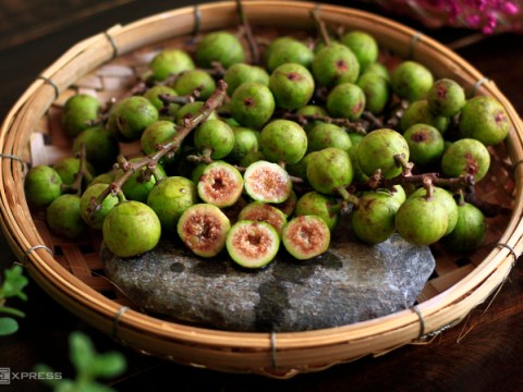 bi quyet muoi sung gion de lau khong bi tham Bí quyết muối sung giòn, để lâu không bị thâm