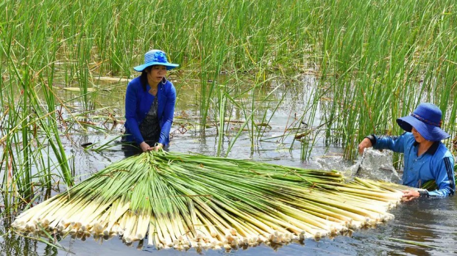 Lạ miệng đặc sản miền Tây, ai đi cũng mua về làm quà vì ăn quá 