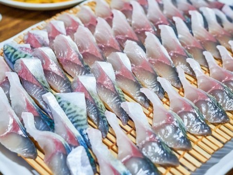 ca thu rim sot mai cung chan hay thu ngay mon sashimi beo ngay Cá thu rim, sốt mãi cũng chán, hãy thử ngay món sashimi béo ngậy